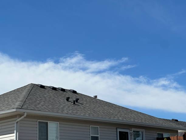 Best Metal Roofing Installation  in Batesville, AR